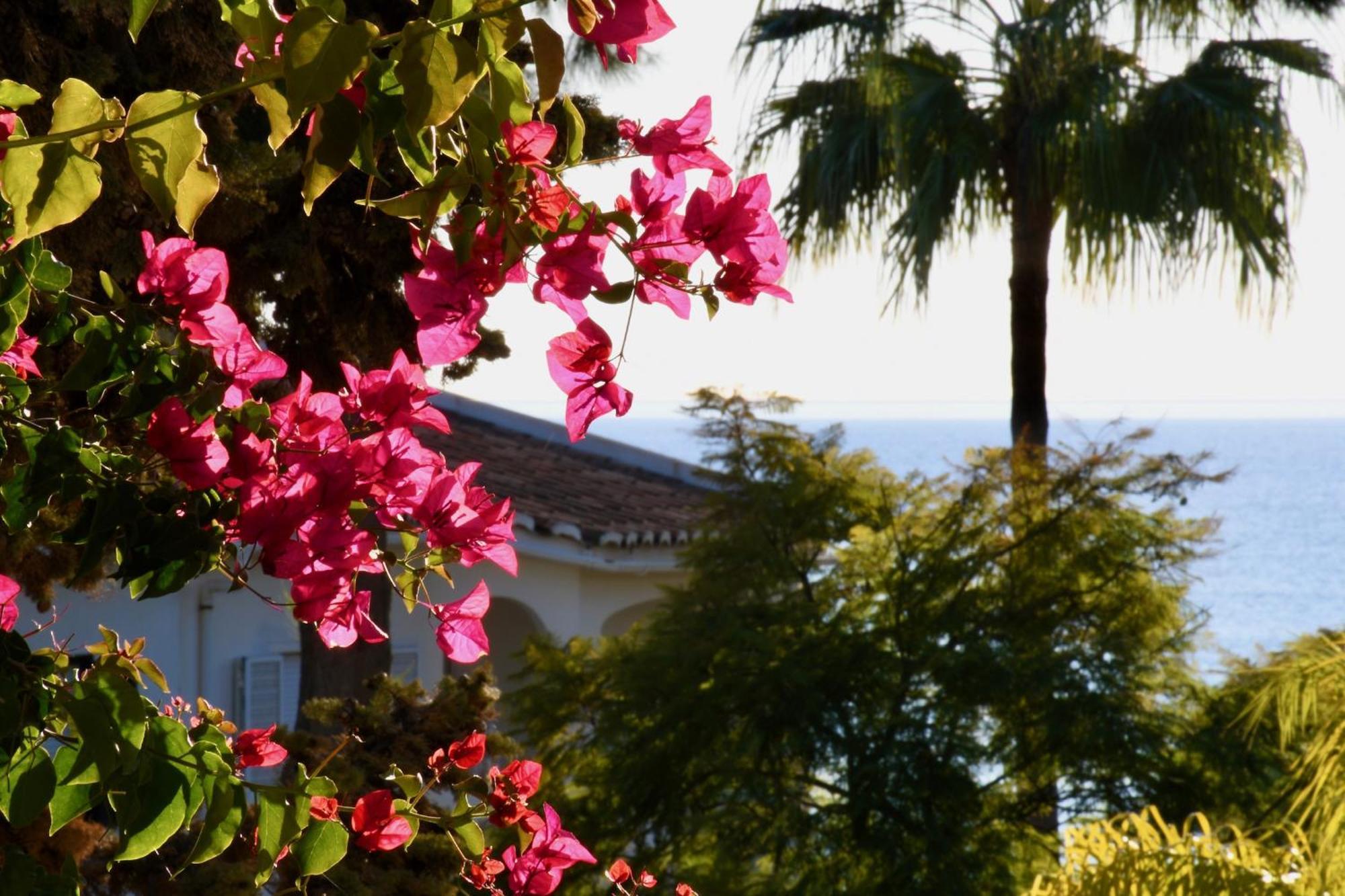 Aquamarine - Gemstone Getaway Vale do Lobo Exterior foto